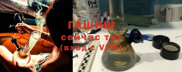 сатива Алзамай