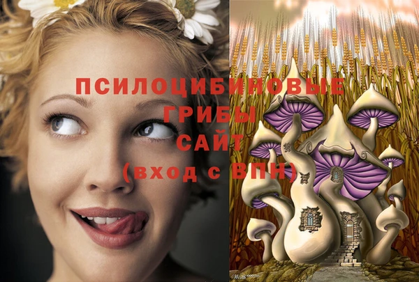 сатива Алзамай