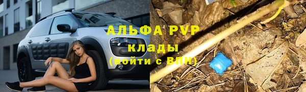 сатива Алзамай