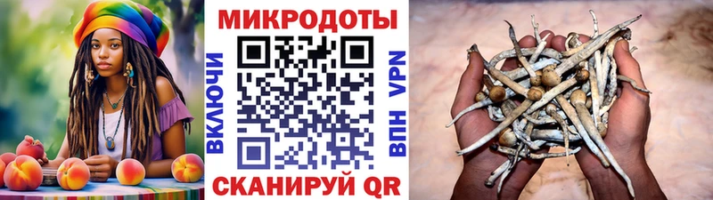 мега ссылки  наркошоп  Гусь-Хрустальный  Галлюциногенные грибы мухоморы 