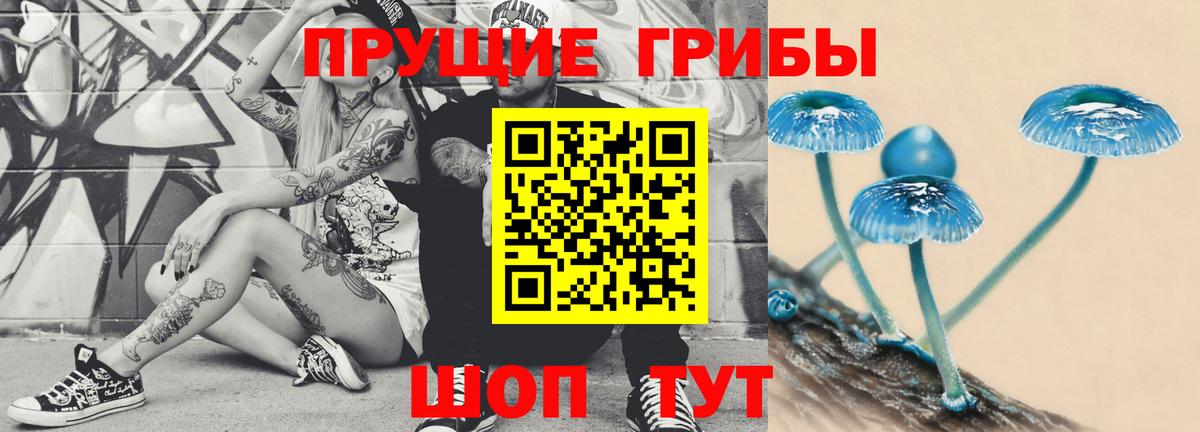 Гусь-Хрустальный  Галлюциногенные грибы Magic Shrooms  Вход с VPN 